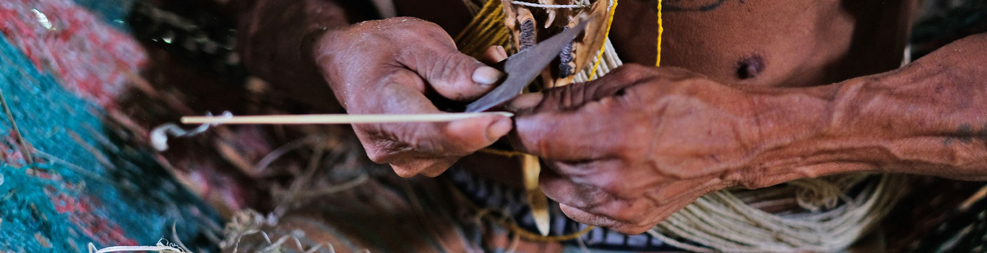 Bosque amazónico y comunidad