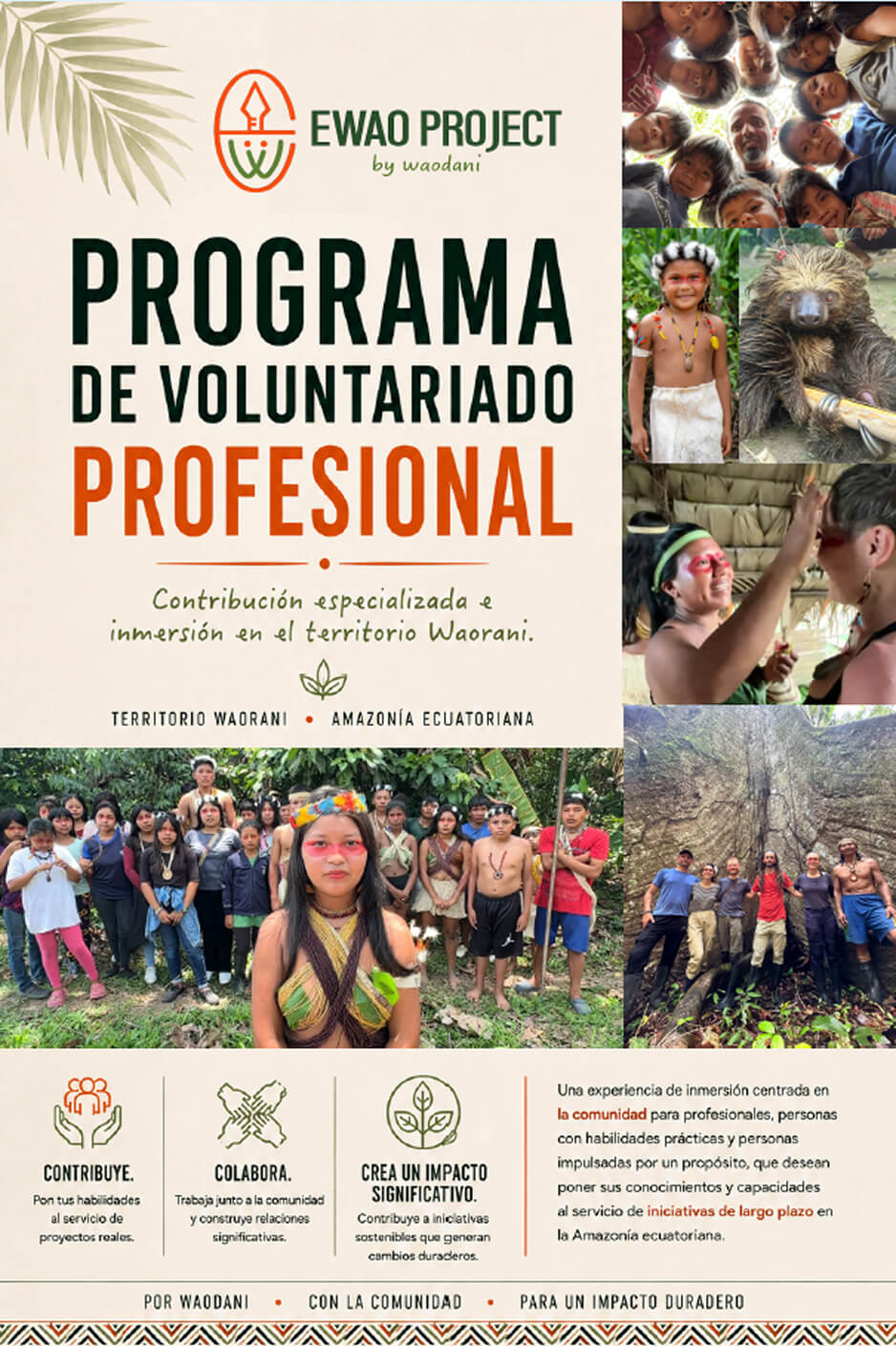 Portada del documento